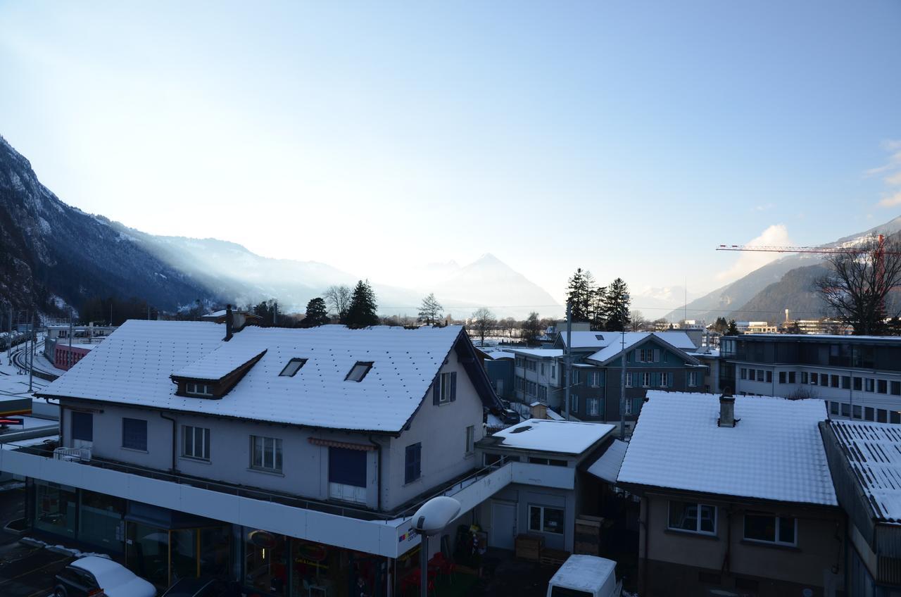 Silberdistel - Griwa Rent Ag